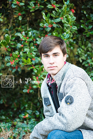 2019 Jaxson C.169