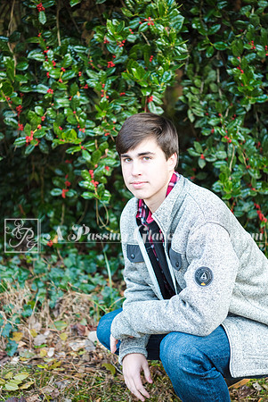 2019 Jaxson C.155