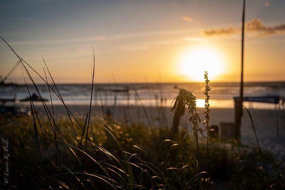 2021 Hildervat Jax Beach OCR 04