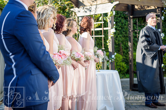 A_B Johnson Wedding-201