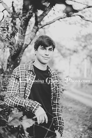 2019 Jaxson C.206
