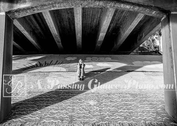 APG_1591